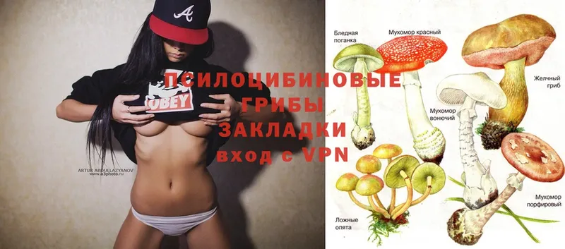 наркотики  hydra сайт  Псилоцибиновые грибы MAGIC MUSHROOMS  Аткарск 